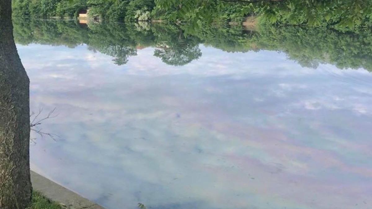 poluare uriasa pe lacul baneasa gabriela firea cere o ancheta