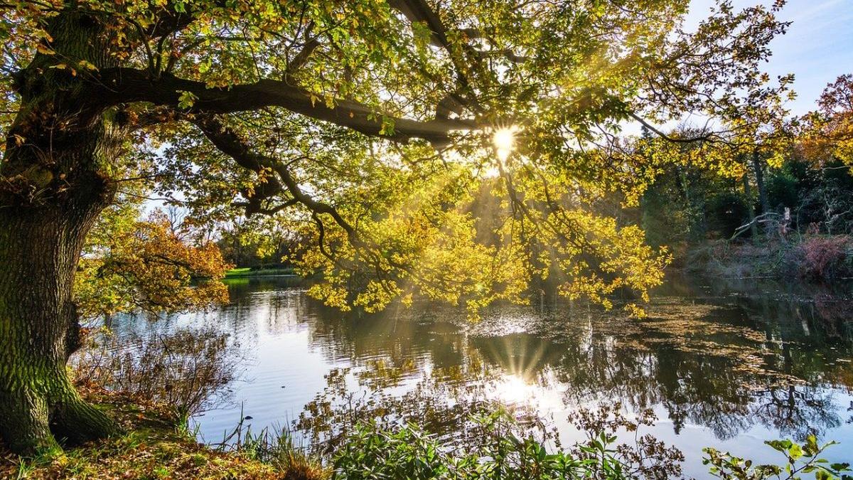 vom avea o vara cu temperaturi record expert in fenomene meteo extreme acest lucru va duce la