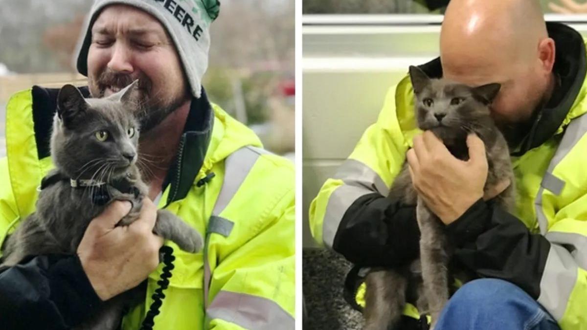 un sofer de camion a plans de fericire cand si a revazut motanul dupa luni intregi de cand disparuse