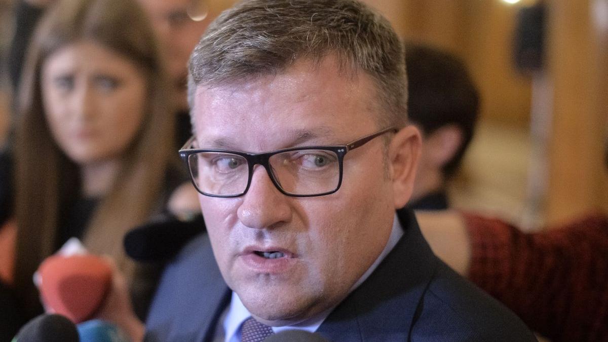 crestere alocatii copii psd marius budai