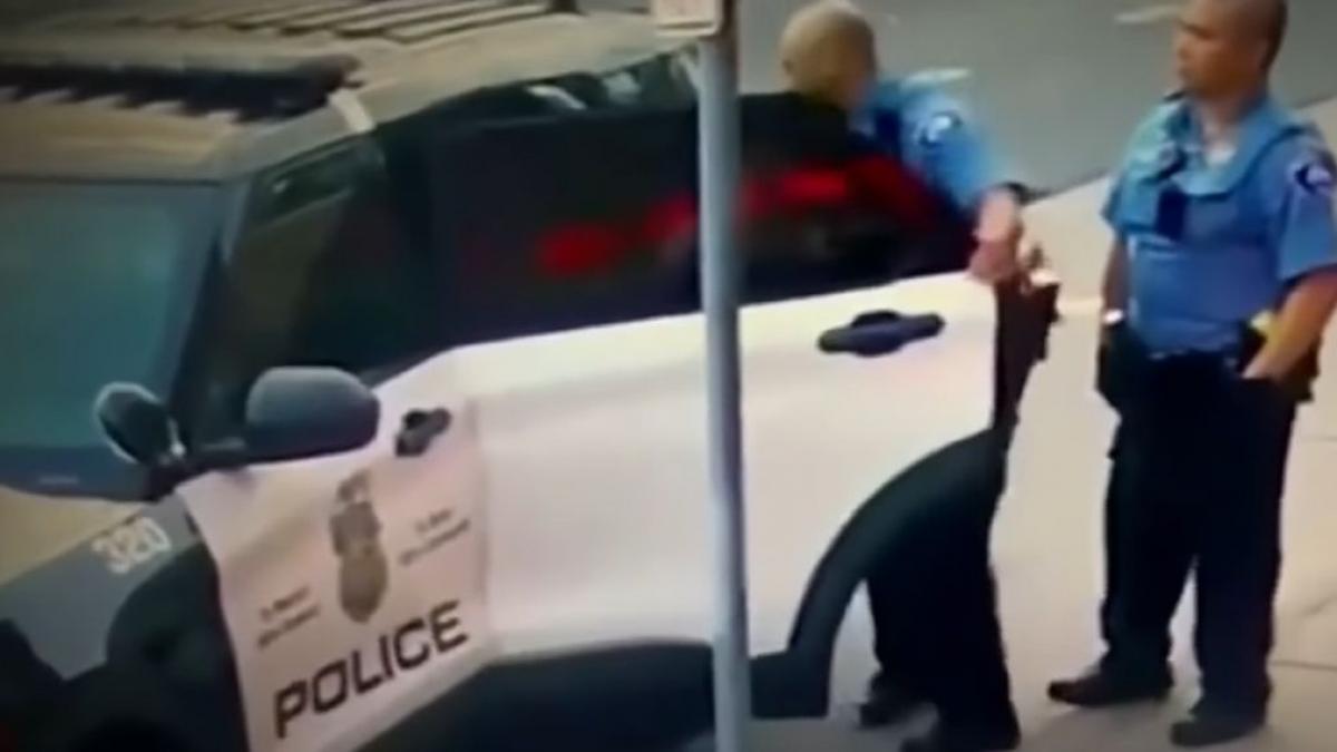 george floyd lupta cu politia bancheta din spate a masinii