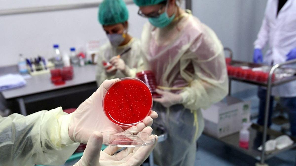 bolnavi obligati plata teste covid 19 inainte internare