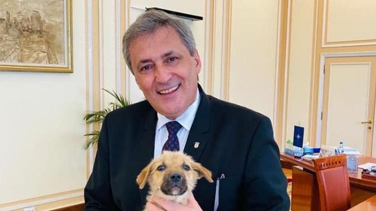 marcel vela catelus mai