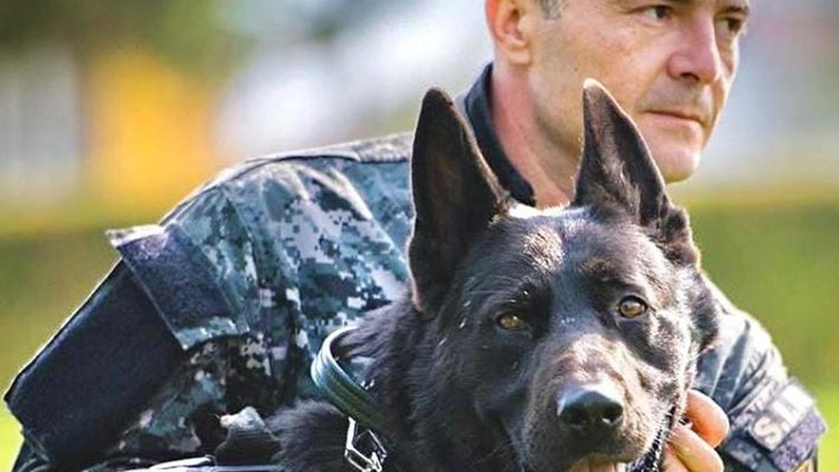 mesajul emotionant al unui ofiter dupa ce un caine politist a murit pentru mine a fost copil frate