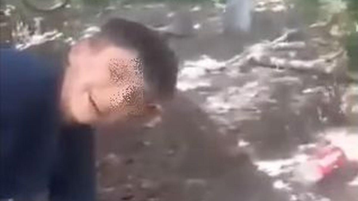 pui de caine ucisi cu o cazma mures