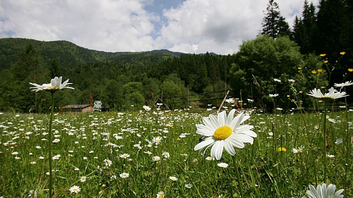 romania destinatia anului bbc