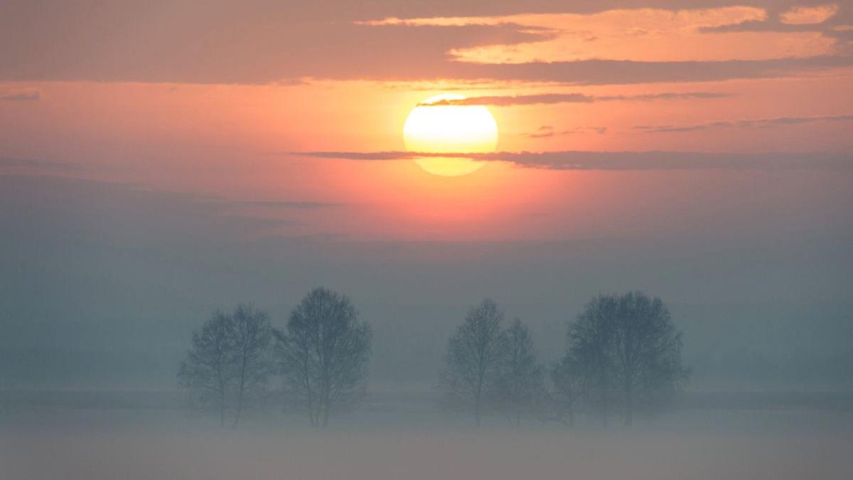 ceata constanta vara
