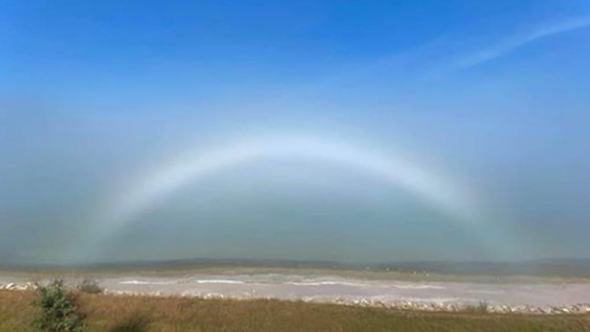 curcubeu alb tuzla constanta