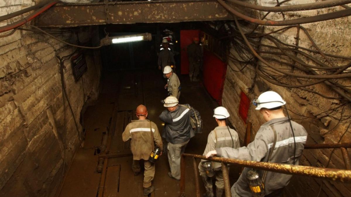 firm private preluare mine ce oltenia