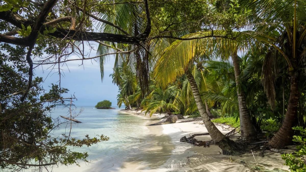 tari fara bolnavi coronavirus