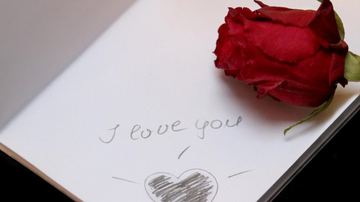 s a indragostit de vecina sa si a vrut sa o cucereasca totul a luat o turnura neasteptata pentru