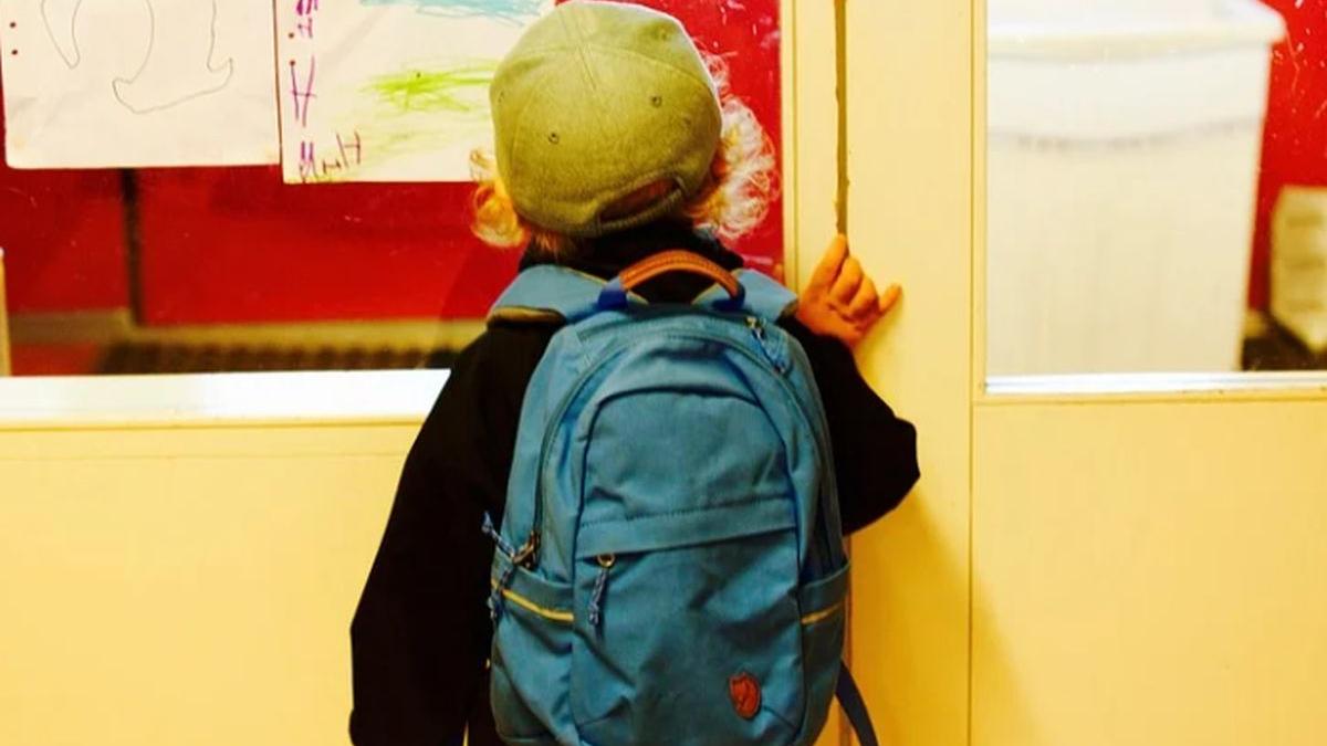 legea anti bullying in scoli este functionala si aplicabila