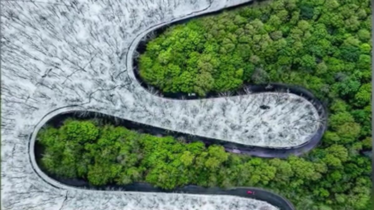 eroul zilei ovidiu pop fotograful care cucereste lumea