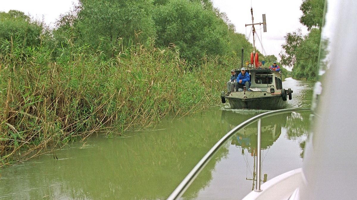 fenomen bizar in romania mai multe pasari exotice descoperite in delta dunarii