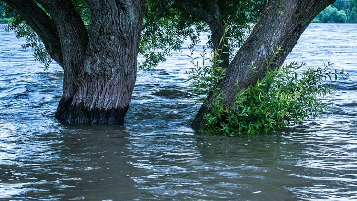 vremea face ravagii in romania vin inundatiile e alerta in 23 de judete