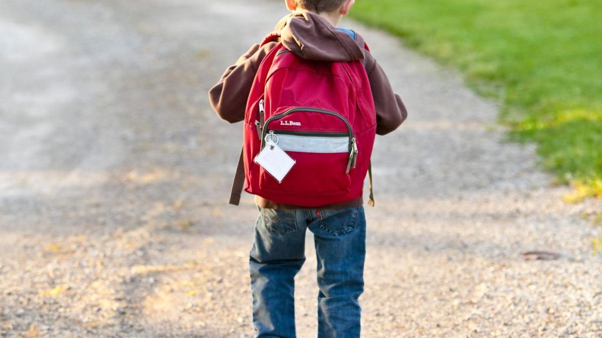 pedofili proxeneti condamnati munca folosul comunitatii scoli