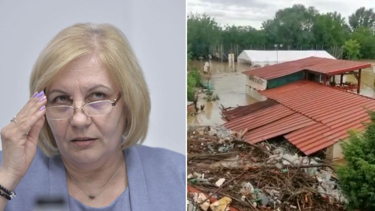 director anm elena mateescu estimari prognoza patru saptamani