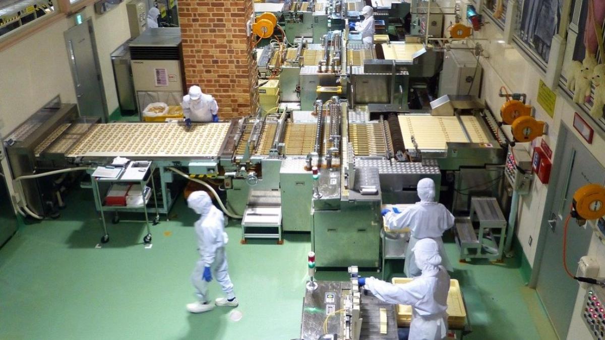 focar coronavirus fabrica ciocolata kandia bucuresti