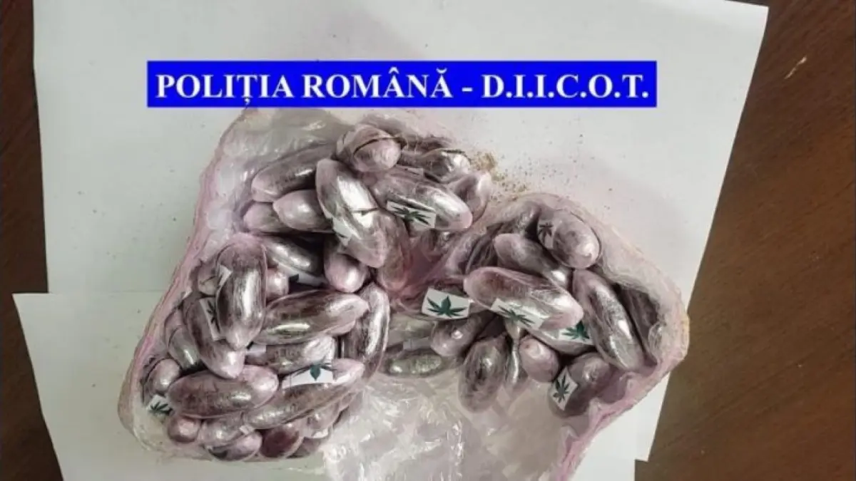 traficanti de droguri prinsi in flagrant cu un colet primit din spania
