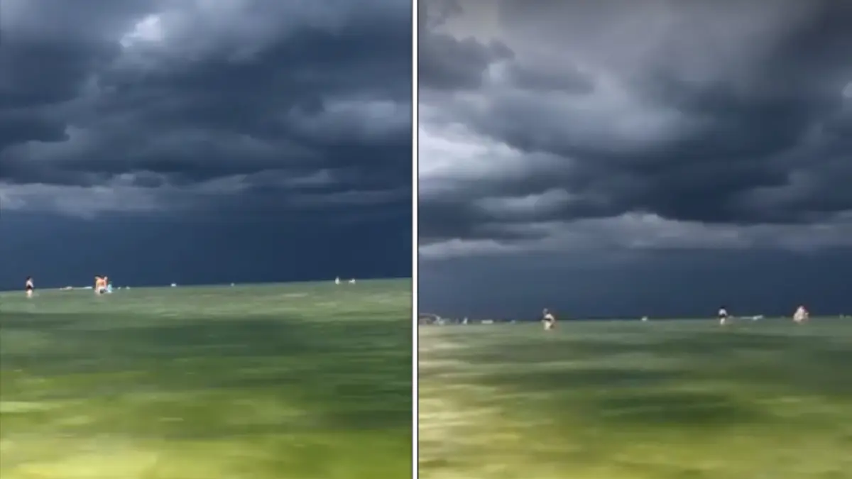 fenomenul extrem de rar la mamaia turistii au fost uimiti de ceea ce au trait video