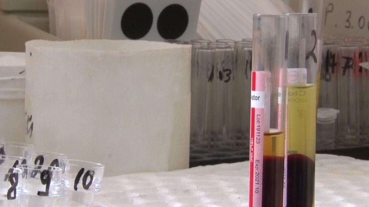 ajutor nesperat in lupta impotriva covid 19 mii de locuitori din zona vatra dornei vor fi testati