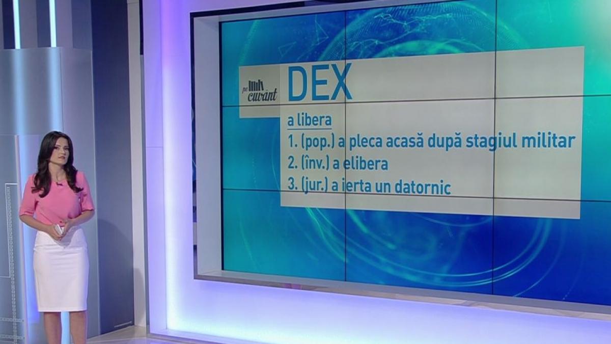 pe cuvant cu ana iorga sintagma controversata din domeniul juridic liberare sau eliberare