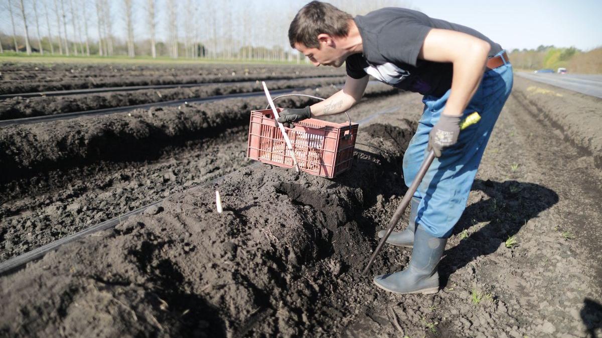 muncitori romani in franta in pericol urias unii oameni il au dar spun nu ma pot opri