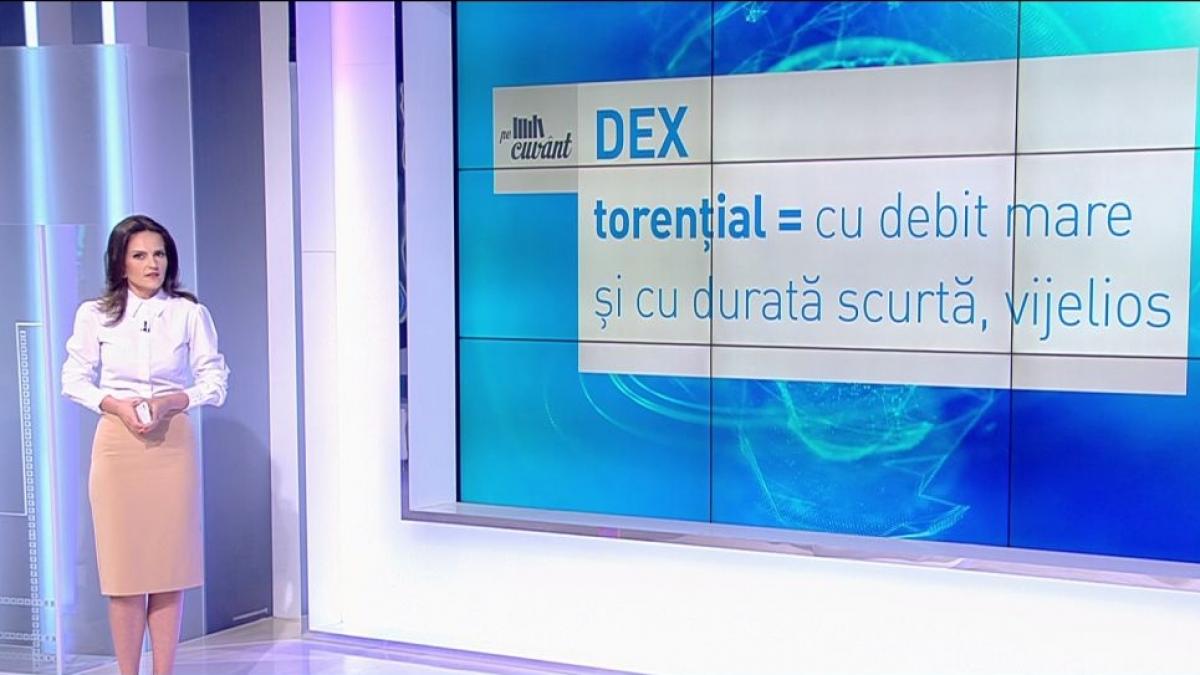 pe cuvant cu ana iorga expresia averse torentiale este sau nu pleonasm