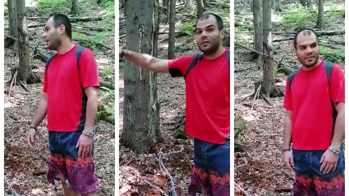 tanar foame muntii parang legat lant copac aruncat cheia