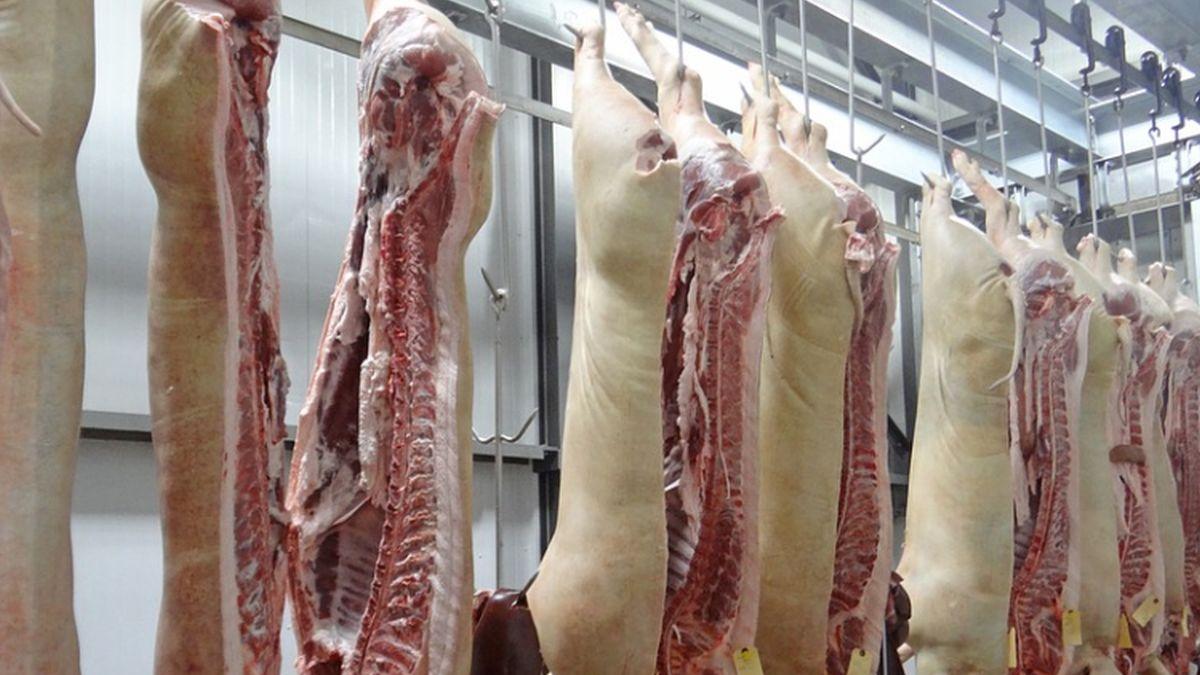 cine sunt smecherii ce exporta romani in abatoarele din germania