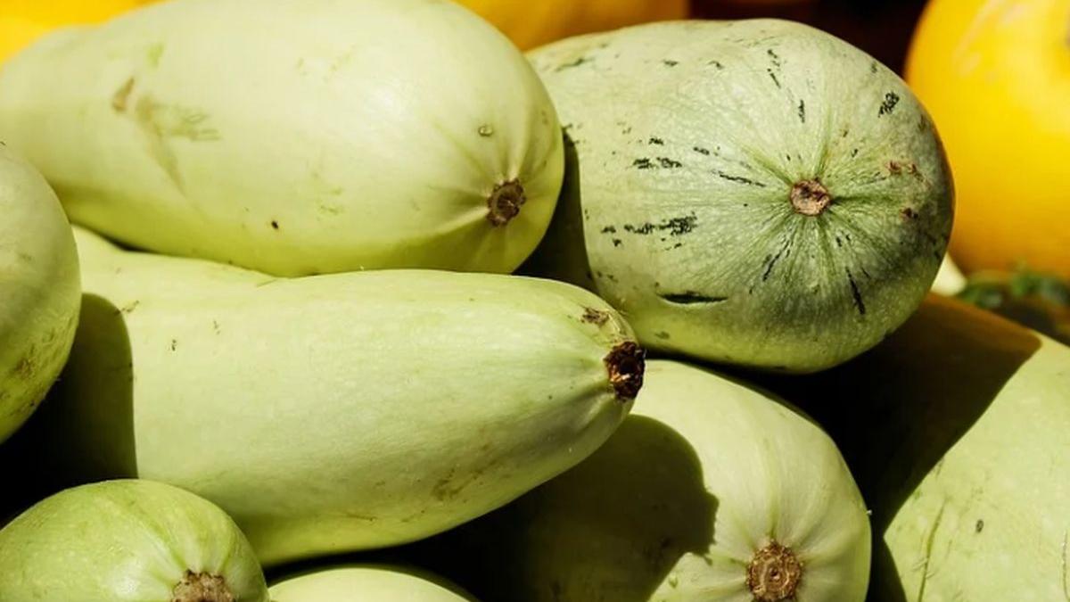 salata de dovlecei delicioasa cu un ingredient secret reteta zilei