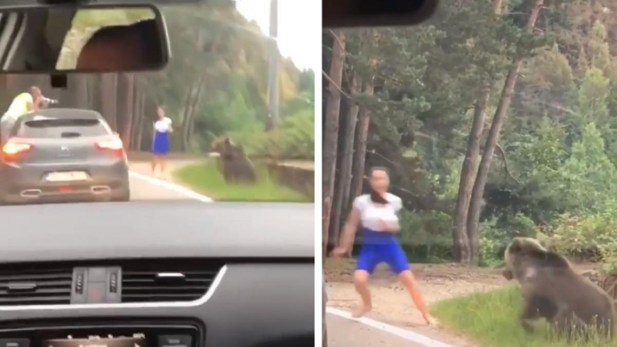tanara inconstienta atacata de ursul cu care a vrut sa si faca poza video