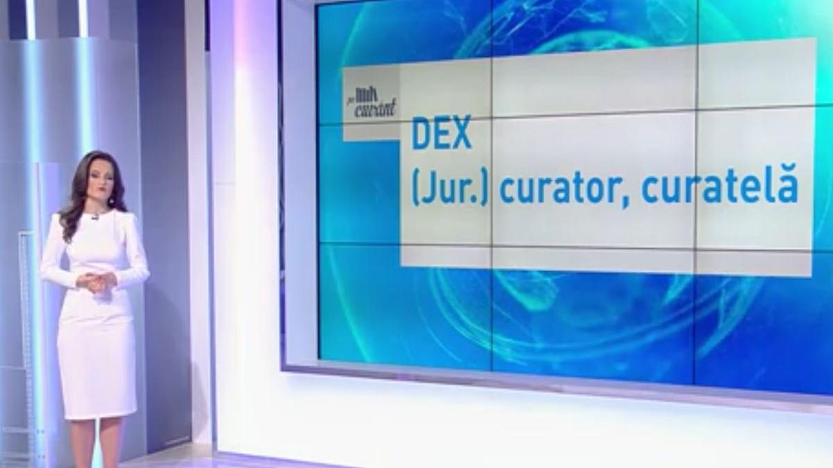 pe cuvant cu ana iorga cand si cum folosim corect cuvantul curator in domeniul artei