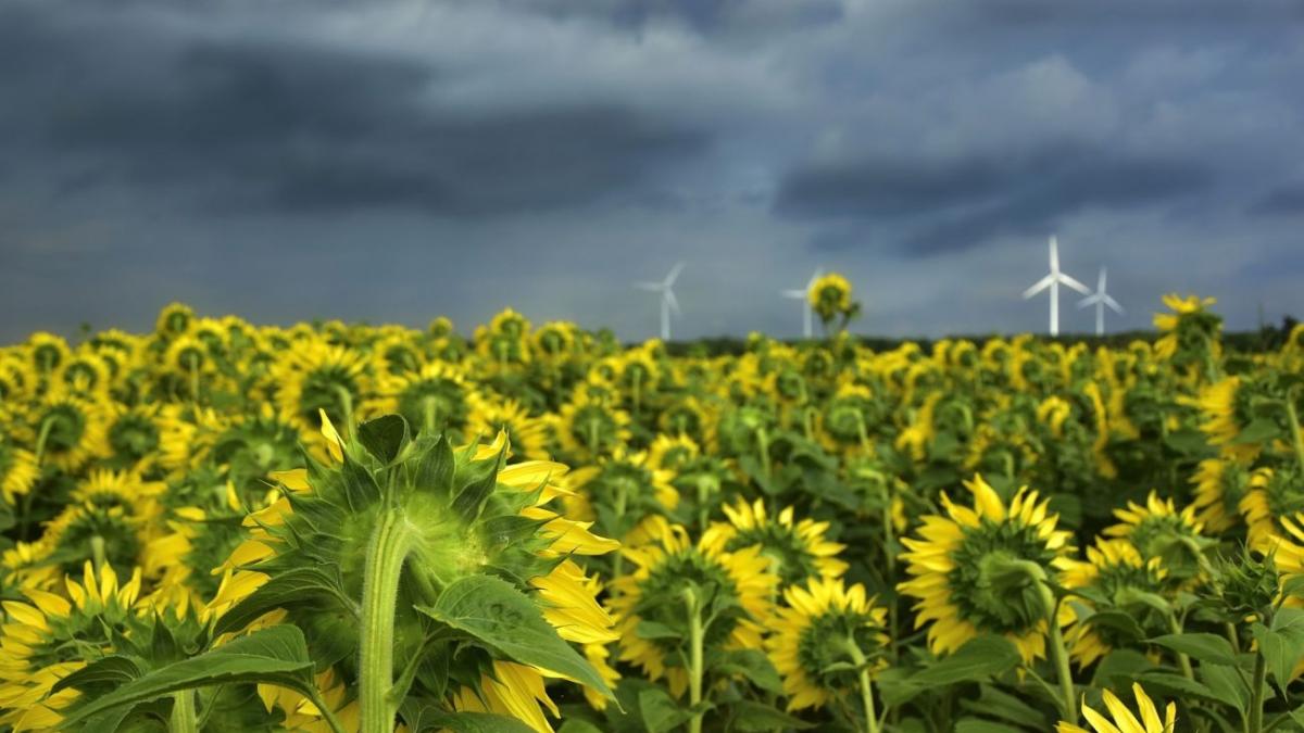 vestul tarii va fi afectar de furtuni si vijelii este cod rosu de ploi in judetul hunedoara