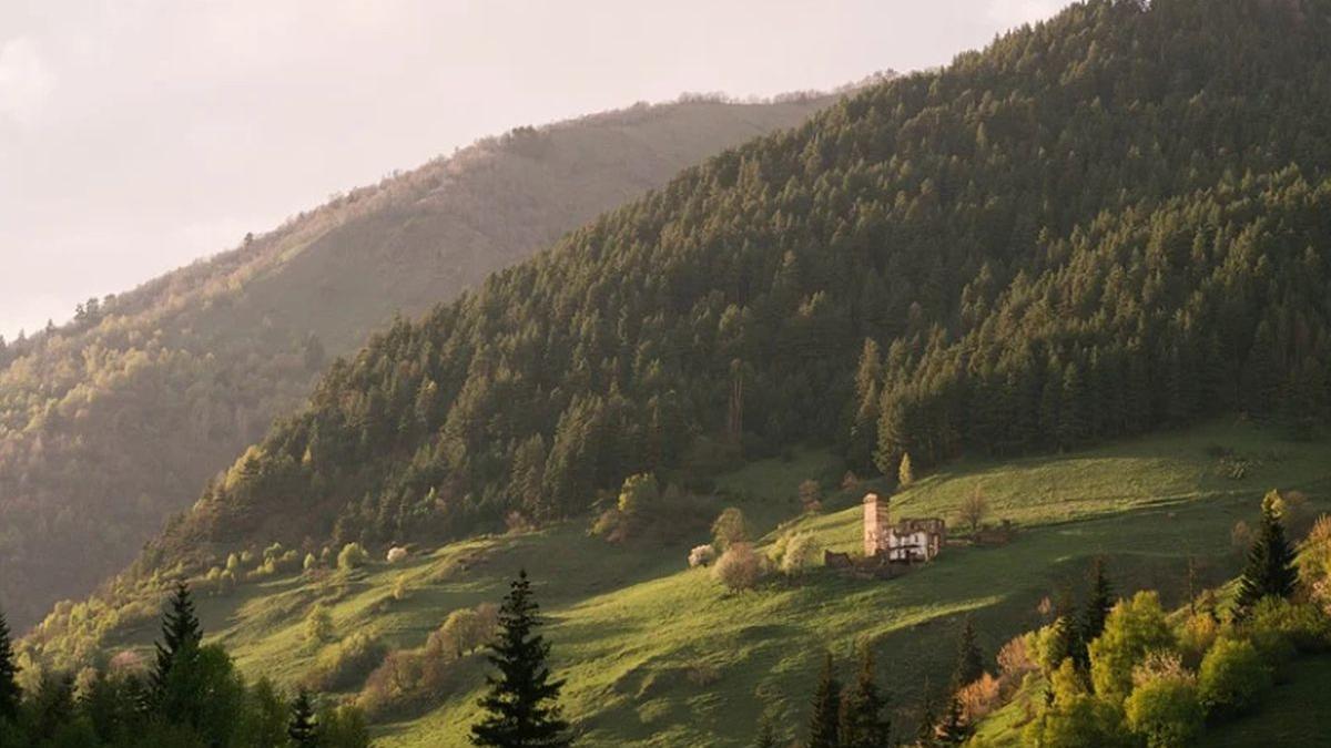 imagini spectaculoase surprinse de un iubitor al naturii din valea jiului sunt 100 salbatici