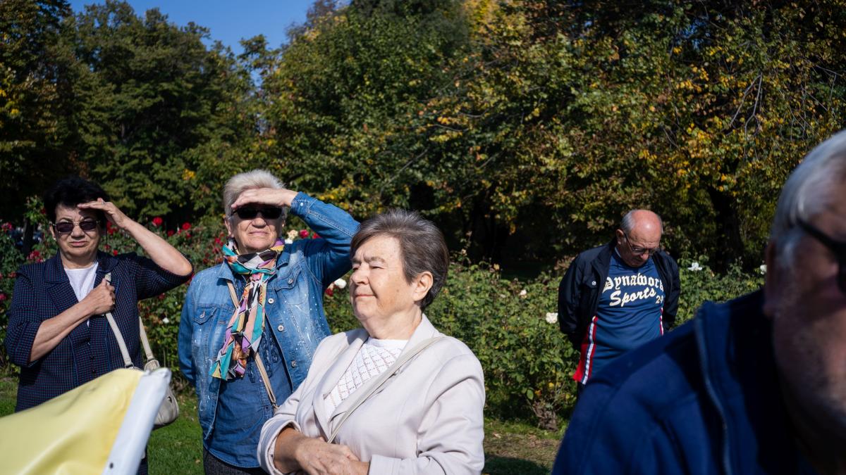 pensii 2020 probleme majore la sectorul 1 bucuresti anuntul facut de ministrul muncii