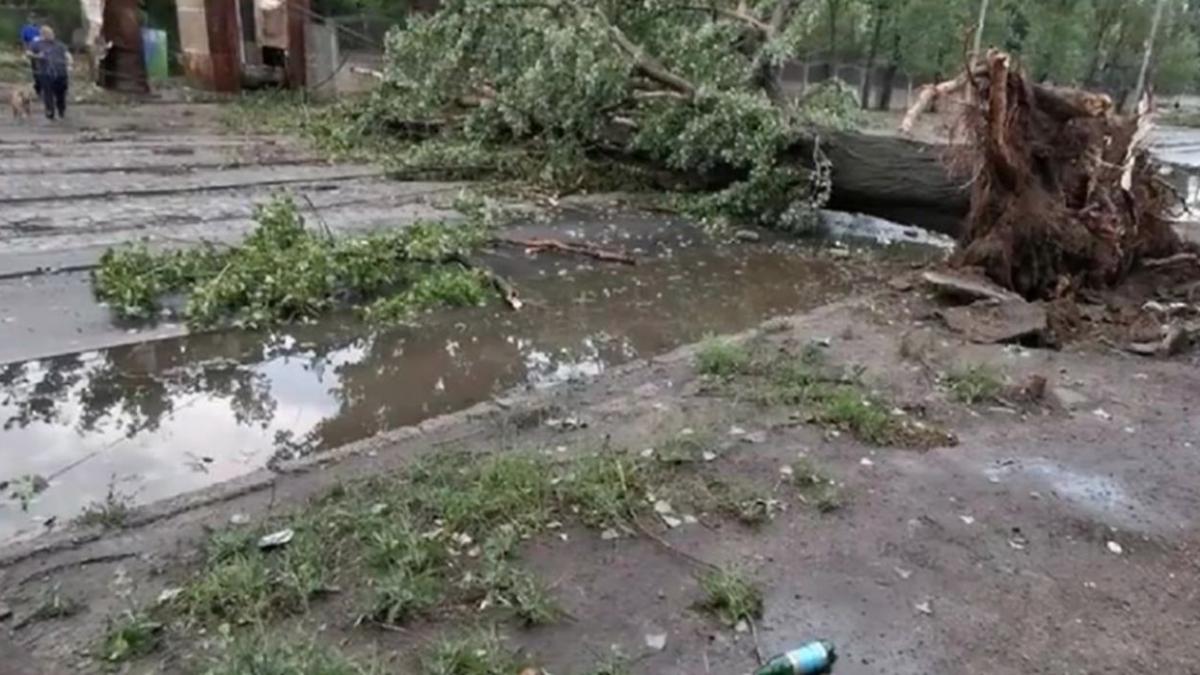 copaci cazuti masini distruse si inundatii in craiova dupa doar o ora de ploi torentiale si vijelii