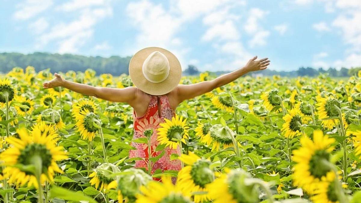 meteo anm da vestea care ii bucura pe romani se intampla duminica