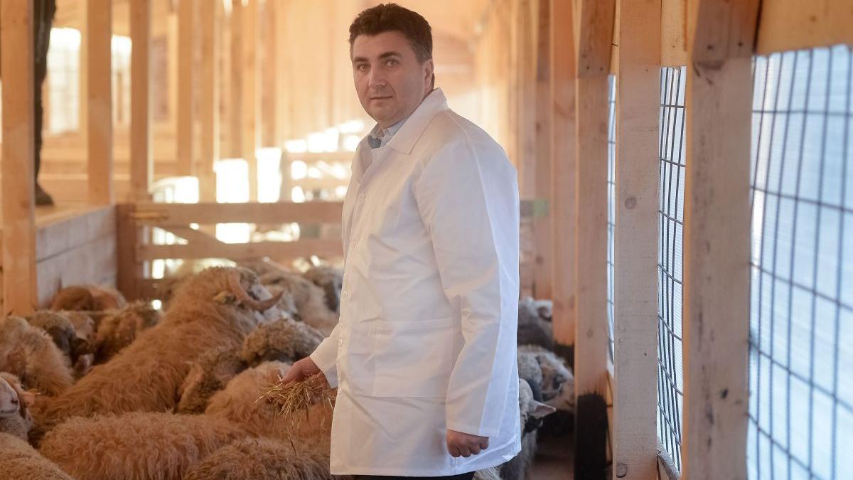 directori ansvsa hartuiti controlati noul presedinte numit pnl