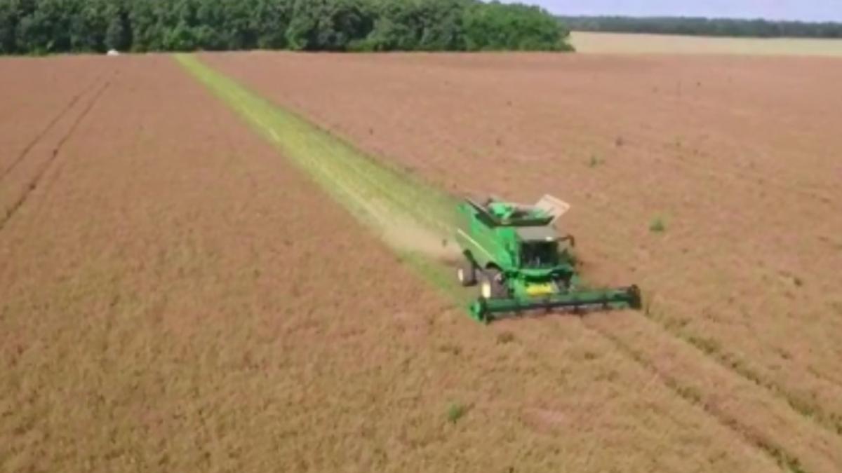 rapita semanata in ilfov la inceput de august agricultorii trebuie sa stie ca au la indemana o