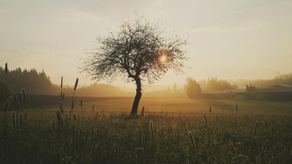 vreme rece in luna lui cuptor directorul anm spune cum va fi vremea in urmatoarele saptamani
