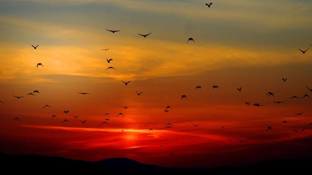 meteo vremea se raceste in weekend prognoza meteo pana duminica