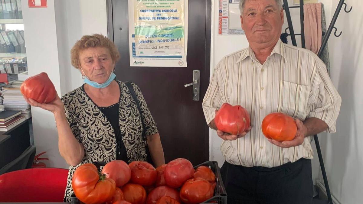 fermierul care produce rosii de 2 kg bucata de ce nu vrea sa afle lumea de el daca stiam ce vrea sa