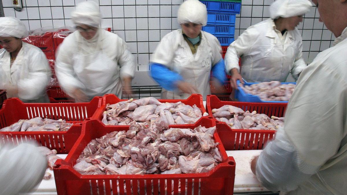 focar de coronavirus la un abator din vaslui aproape 60 de persoane depistate cu covid 19