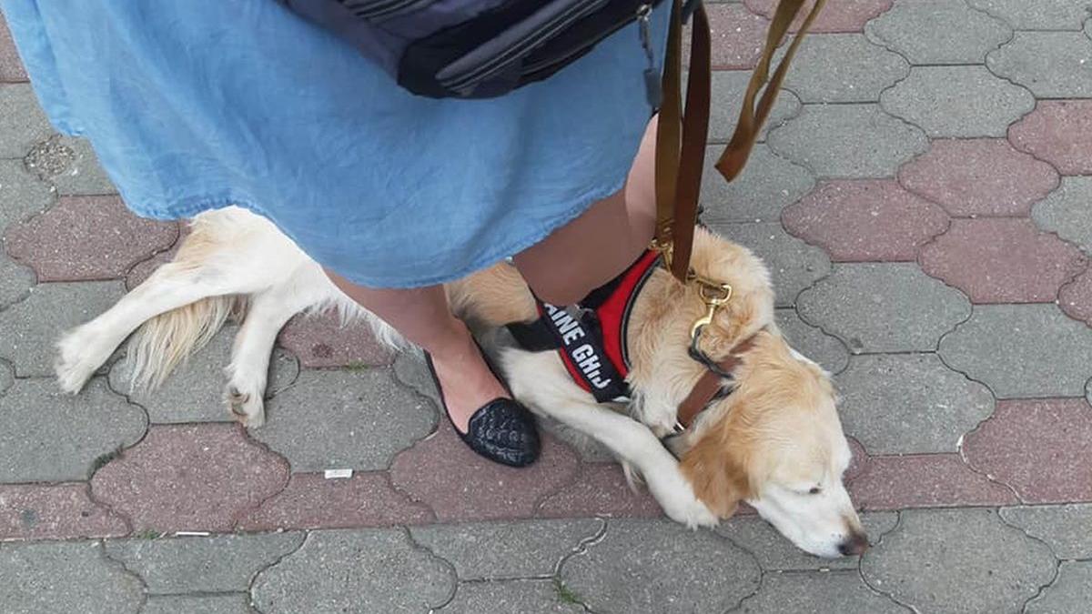 femeie nevazatoare umilita la intrarea intr un magazin magazinul e plin de alimente ce sa caute