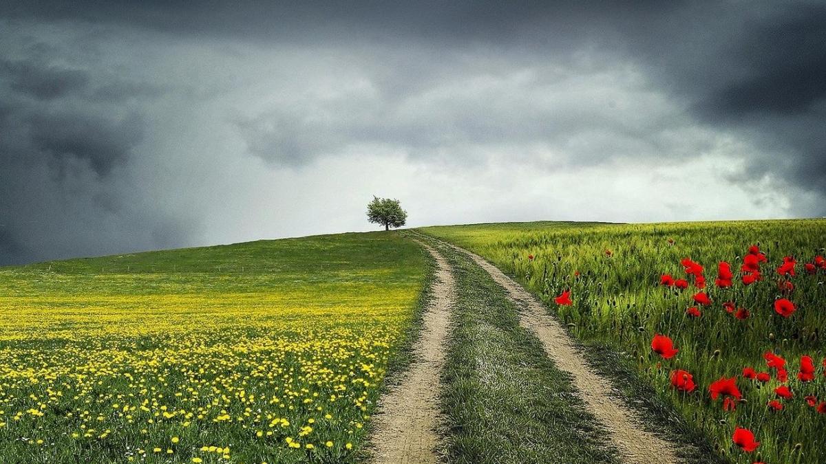 noi avertizari de vreme rea unde vor fi furtuni si cum va fi in weekend