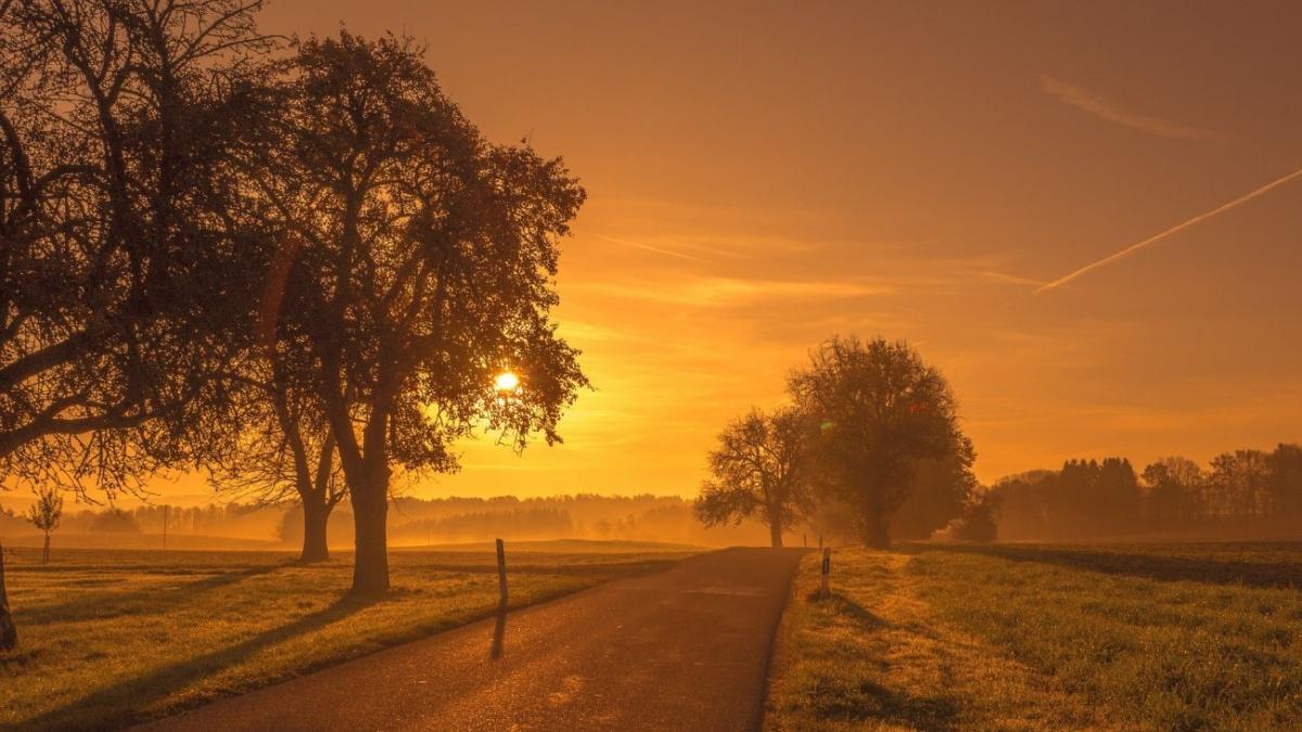 alerta meteo de la anm temperaturile vor depasi 40 poate chiar 45 de grade