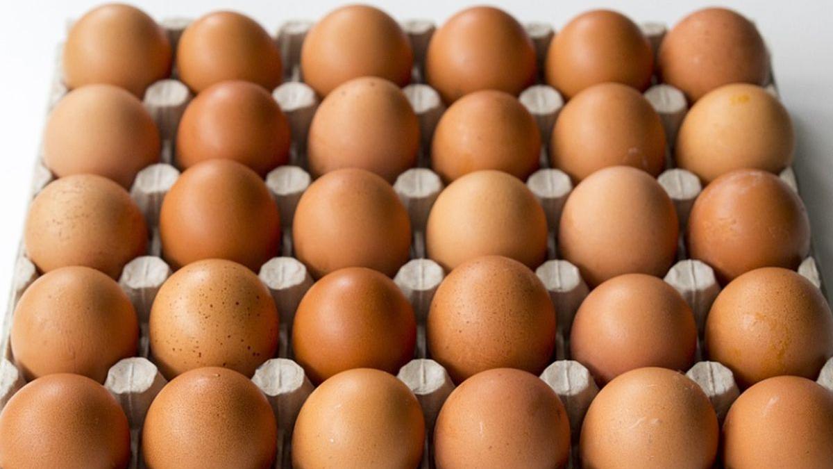 atentie trebuie sa va feriti de ouale de gaina care au stantate pe coaja cifra 3 bucurestenii le