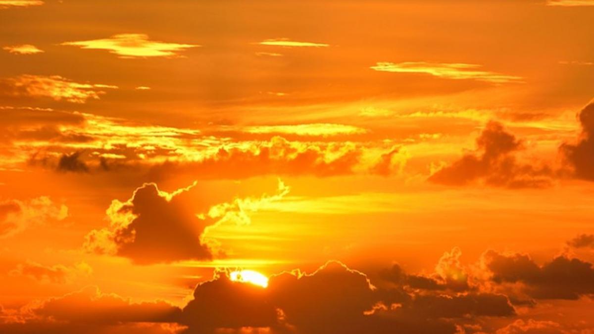 31 iulie 2020 zi tropicala atentionare meteo anm