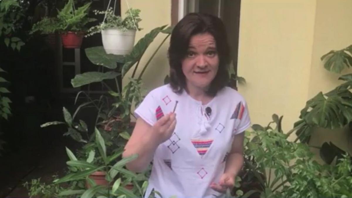 sfaturi practice pentru inrijirea plantelor mituri despre gradinarit ce e voie si ce nu